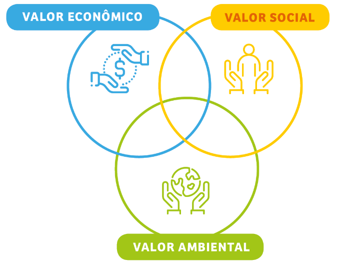 Mapa mental do valor social, econômico e ambiental da Yvy